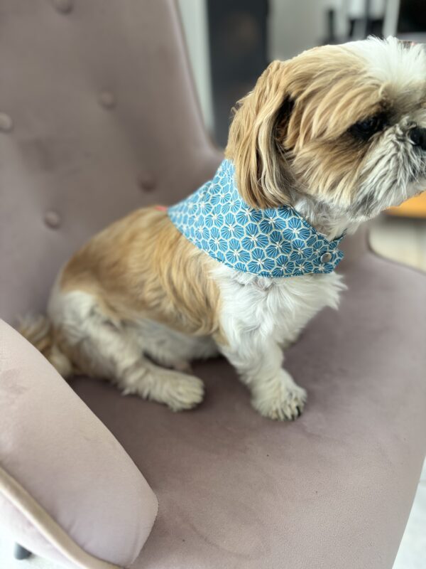 Bandana Turquoise - S – Image 4
