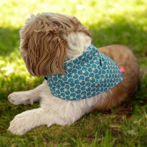 Bandana Turquoise – S