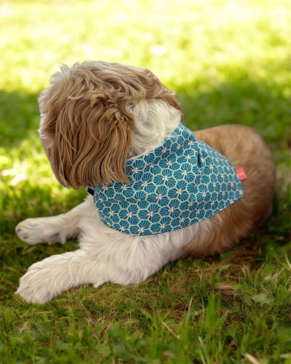 Bandana chien turquoise