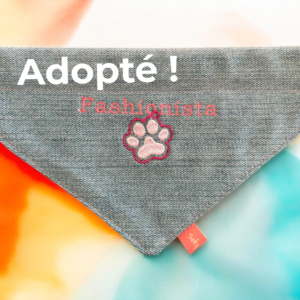 Bandana vendu – brodé « fashionista » (vendu sans le collier)